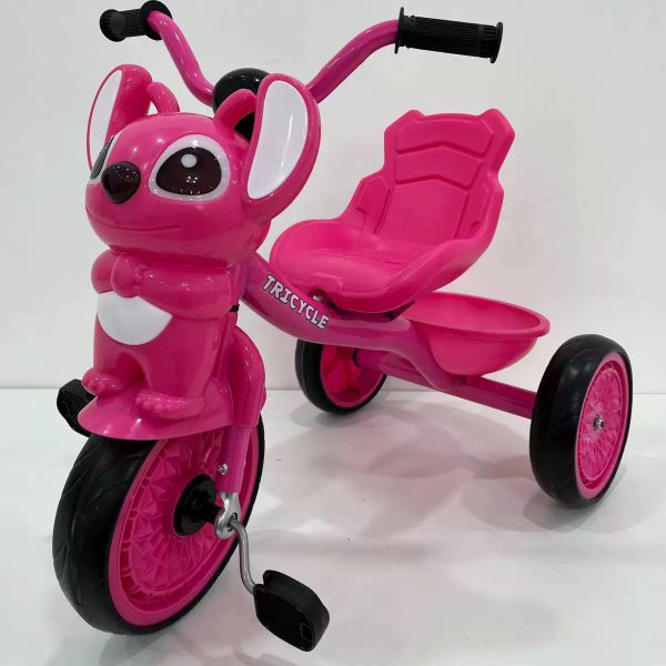 photo_2026-08-09_21-49-10 709 Tricycle